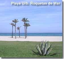 Palm trees on Roquetas del Mar beach