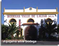 Laujar wine Bodega in the Alpujarra of Almeria