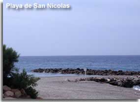 Greenery and palm tree decorating San Nicolas beach