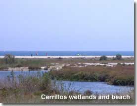 Playa Cerrillos wetlands and beach