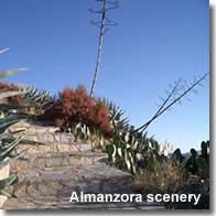 Flora of the Almanzora.