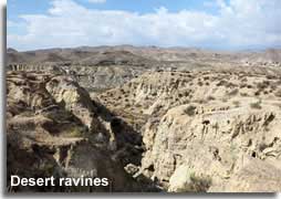 Tabernas desert ravines