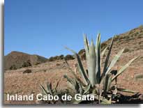 Landscapeof inland Cabo de Gata Natural Park