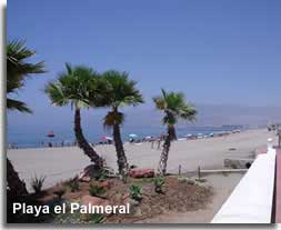 El Palmeral palm tress and beach