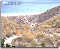 Trail to Los Muertos beach