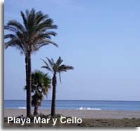 Palm trees on Playa Mar y Cielo in Garrucha