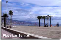 Salinas beach and the distant headland