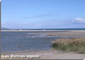 Playa Las Marinas lagoon