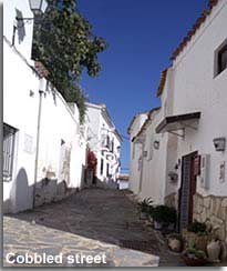 Bedar cobbled street