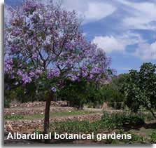 Albardinal Botanical Gardens at Rodalquilar