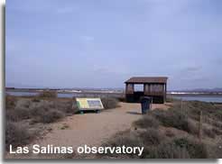 Observatory at Las Salinas lagoon