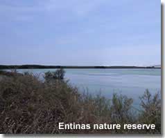 Almerimar - Roquetas narure reserve