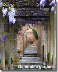 Alhambra Generalife gardens walkway