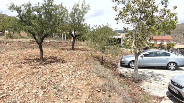APF-5590: Land for Sale in Lubrin, Almería