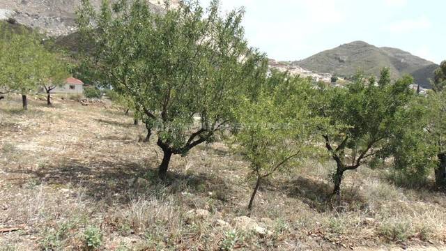 APF-5596: Land for Sale in Lubrin, Almería