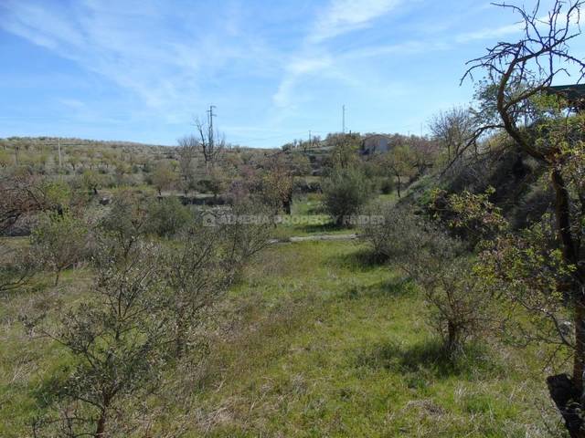 Land in Oria, Almería