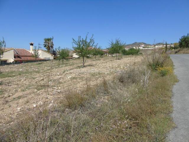 APF-3471: Villa for Sale in Arboleas, Almería