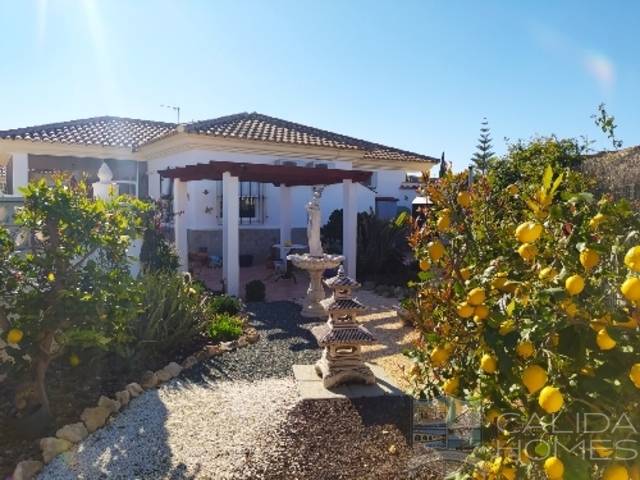 cla7468 Villa Olivia: Villa for Sale in Arboleas, Almería