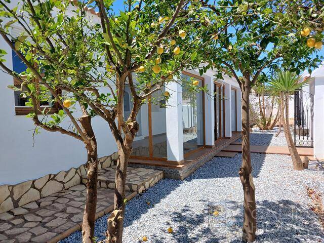 Villa Lemon Tree: Villa for Sale in Arboleas, Almería