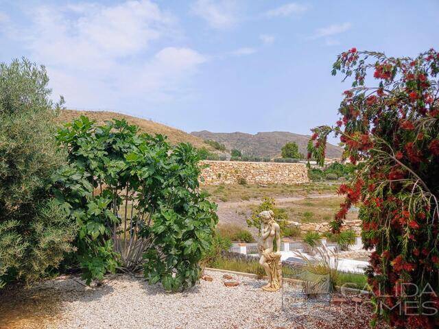 Villa Acacia: Villa for Sale in Arboleas, Almería
