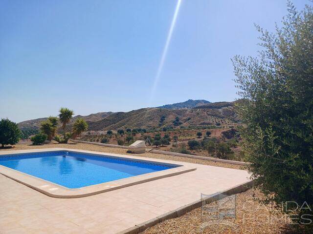 Villa Los Colorados: Villa for Sale in Arboleas, Almería