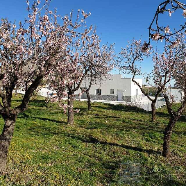 Casa Blossom: Villa for Sale in Oria, Almería