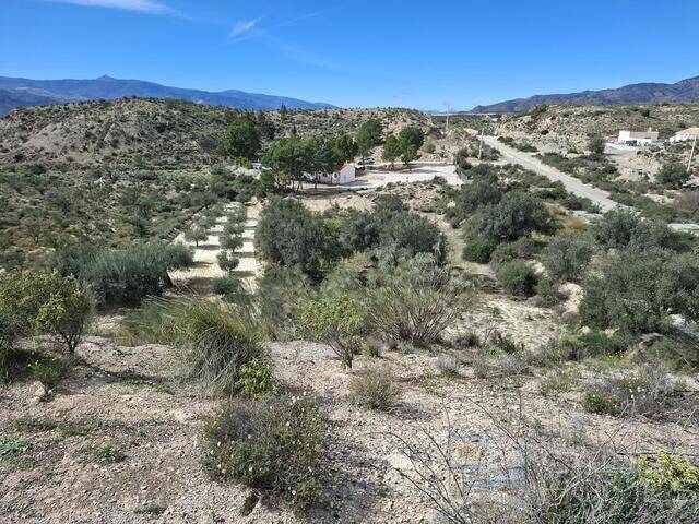 Villa Freesia: Villa for Sale in Partaloa, Almería