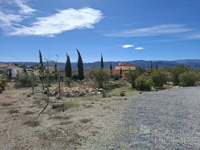 Villa Freesia: Villa for Sale in Partaloa, Almería