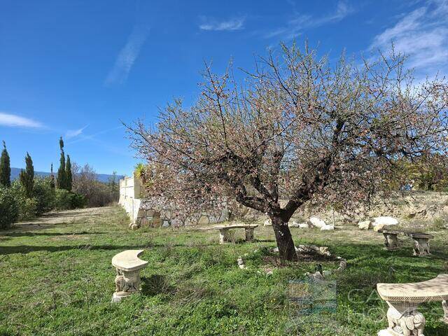 Villa Freesia: Villa for Sale in Partaloa, Almería