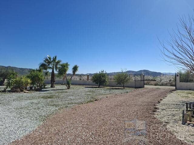 Villa Aster: Villa for Sale in Albox, Almería