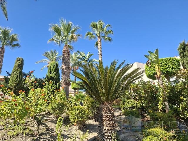 Palmera Golf Duplex: Town house for Sale in Vera, Almería