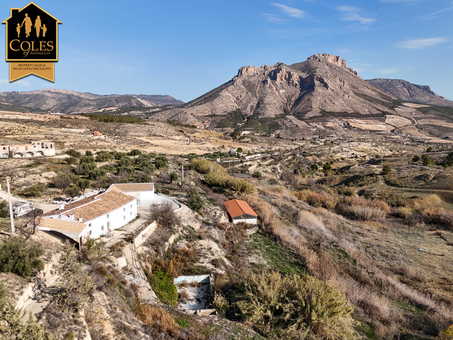 Cortijo in Velez Blanco, Almería