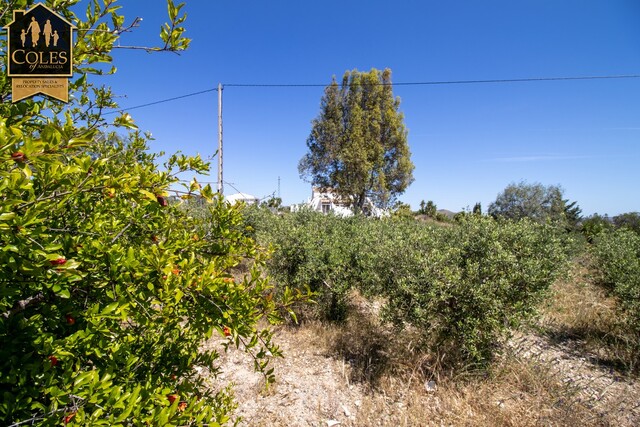 ALB3V30: Villa for Sale in Albox, Almería