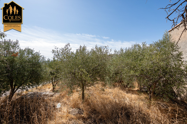 LUB3C01: Cortijo for Sale in La Rambla Honda (Lubrin), Almería