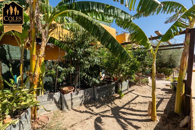 GAL3VJ20: Villa for Sale in Los Gallardos, Almería