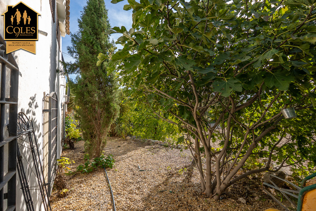 ARB3C07: Cortijo for Sale in Arboleas, Almería ARB3C07: Cortijo for Sale in Arboleas, Almería