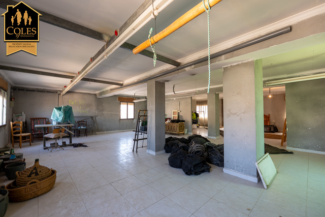ORI7V01: Villa for Sale in Oria, Almería
