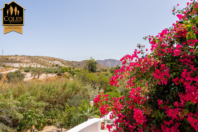 LUB3C02: Cortijo for Sale in Lubrin, Almería LUB3C02: Cortijo for Sale in Lubrin, Almería