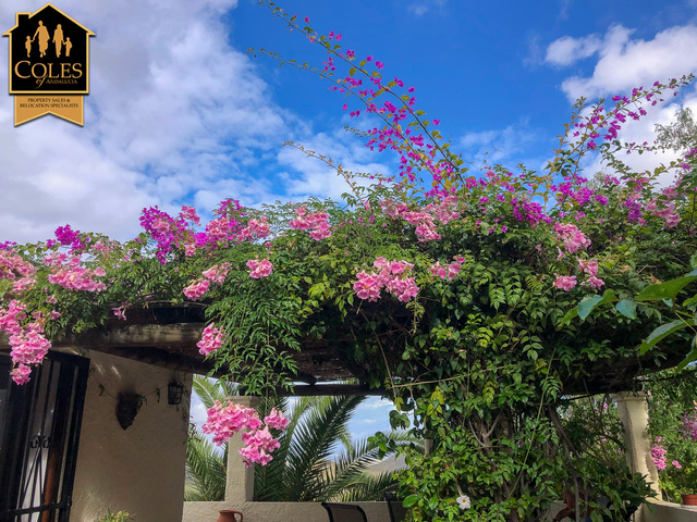 CGR4V01: Villa for Sale in Turre, Almería