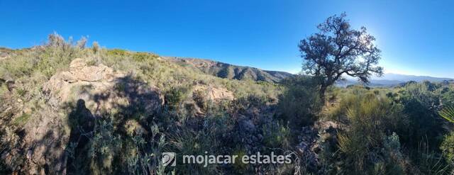 ME 2847: Land for Sale in Bedar, Almería