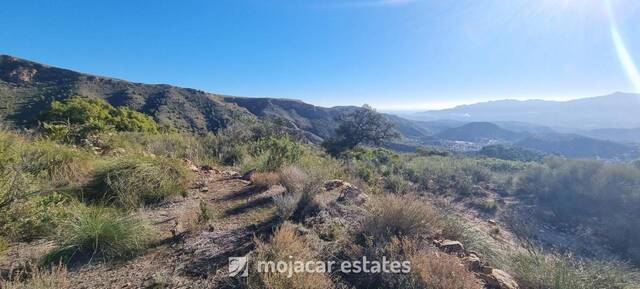 ME 2847: Land for Sale in Bedar, Almería