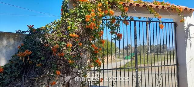 ME 3062: Villa for Sale in Los Gallardos, Almería