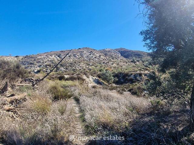 ME 3154: Land for Sale in Sorbas, Almería