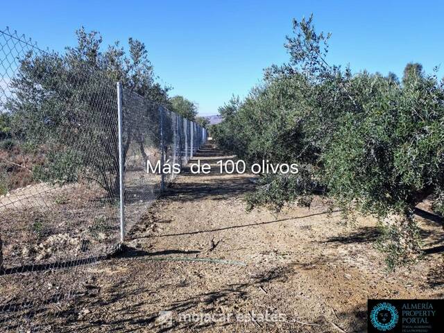 ME 3185: Villa for Sale in Turre, Almería ME 3185: Villa for Sale in Turre, Almería