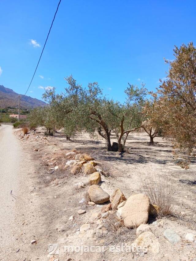ME 3250: Land for Sale in Mojácar, Almería