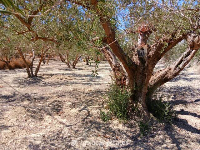 ME 3250: Land for Sale in Mojácar, Almería