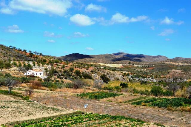 OLV0795: Villa for Sale in Lubrin, Almería