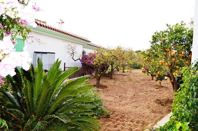 OLV0919: Villa for Sale in Los Gallardos, Almería