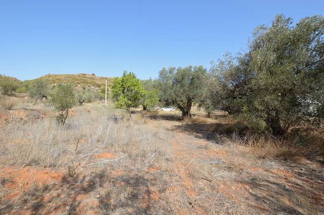 OLV2035: Cortijo for Sale in Bedar, Almería