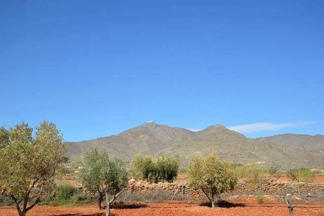 OLV2068: Country house for Sale in Uleila del Campo, Almería